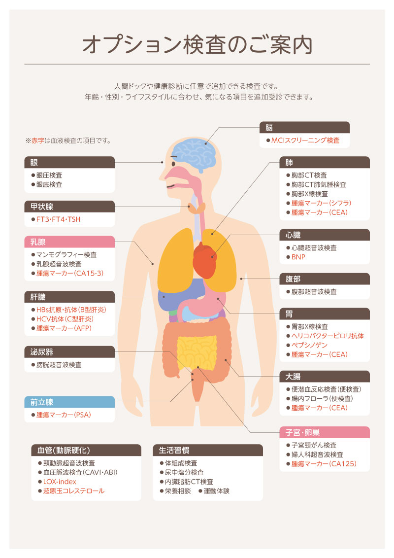 オプション検査のご案内