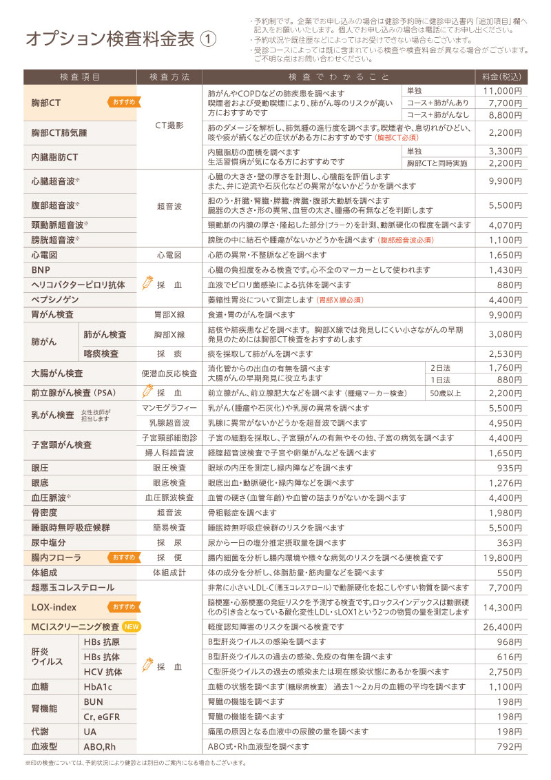 オプション検査料金表